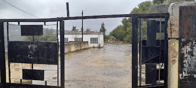بنمرا