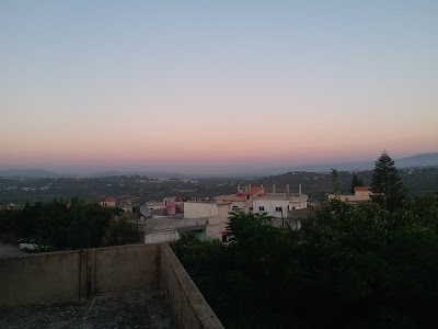 بويضة السويقات