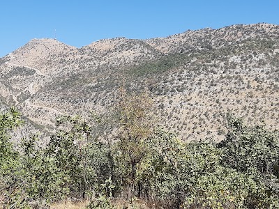 Branch Post Office-sirnak