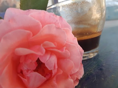 بريس جار القمر