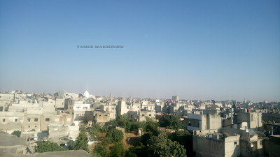 بستان الديوان