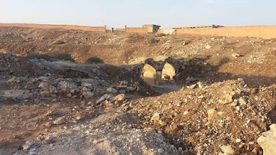 بستان الفرخة