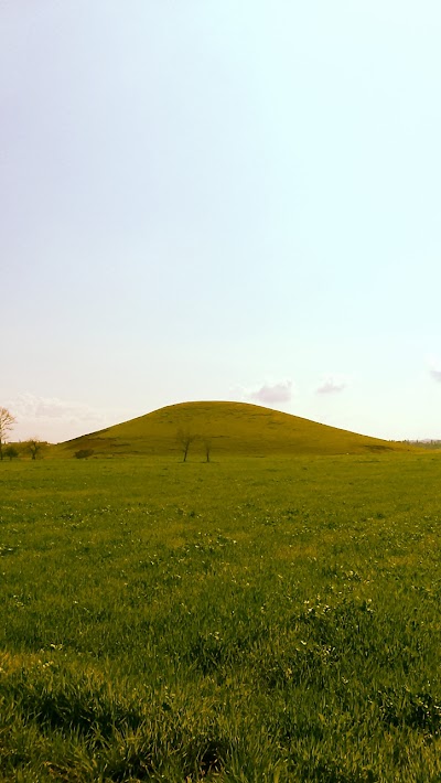 بستان السلطان عبدالحميد