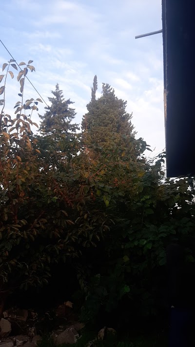 بستان فراس كرياني