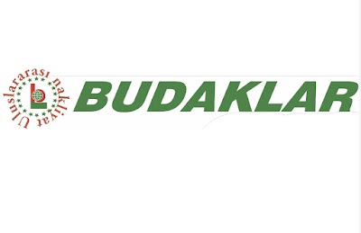 Budaklar Uluslararası nakliyat ltd.sti