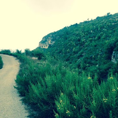 بيادر الدره