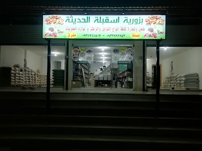 بزورية إسقبلة الحديثة