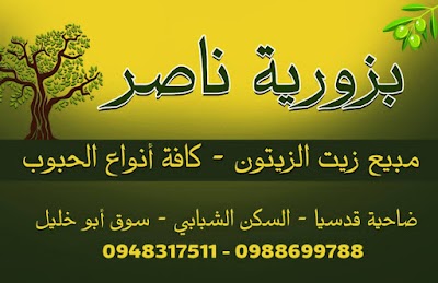 بزورية ناصر