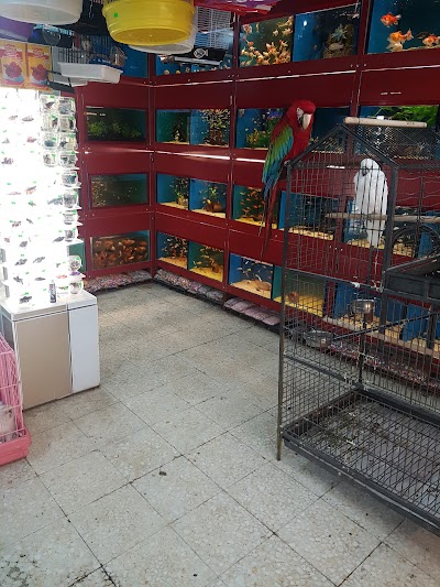 Caglayan Akvaryum