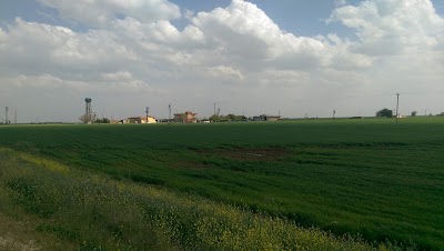 Camlica Koyu Muhtarligi