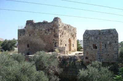 Castle roe
