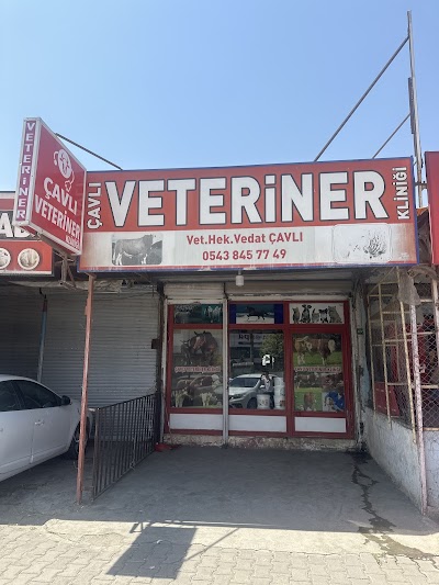 Çavlı Veteriner Kliniği