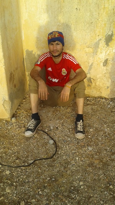 Cennet Cicekcilik