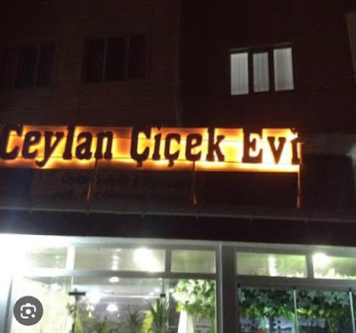 Ceylan Çiçekçilik & Organizasyon Kuş Akvaryum Dünyasi