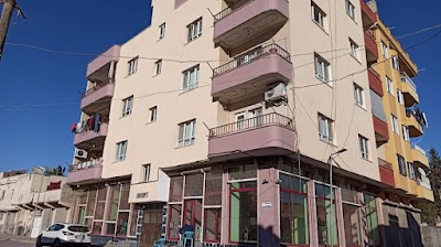 Ceylanpınar emlak