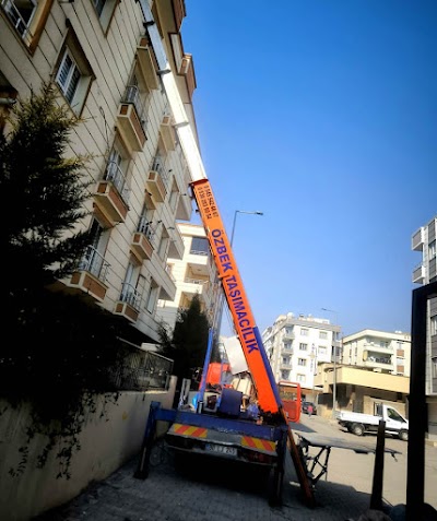 Ceylanpınar Özbek Evden Eve Nakliyat