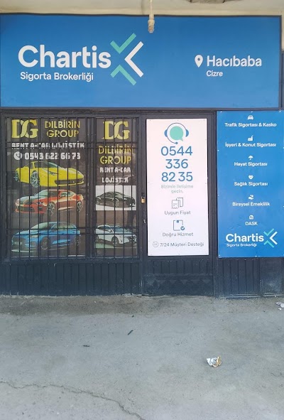 Chartis Sigorta Cizre HACIBABA Şubesi