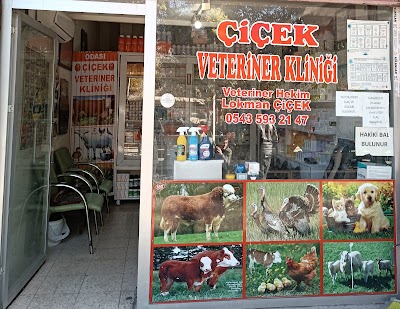ÇİÇEK VETERİNER KLİNİĞİ