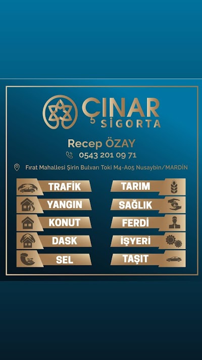 Çınar Sigorta