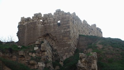 Citadel of Homs