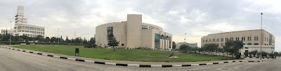 City University