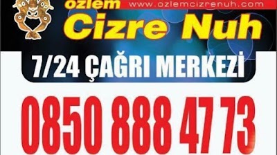 cizre nuh mardin