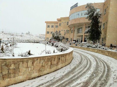 College of Science