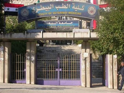 College of Veterinary Medicine of Hama University