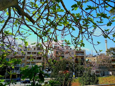 Computer Technology Institute