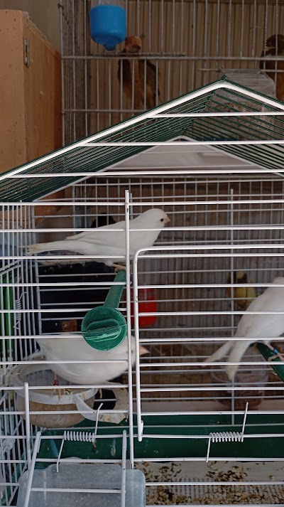 Cumali Petshop