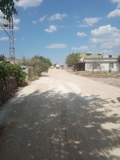 Dağ Market