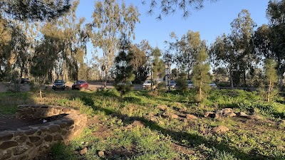 Daliyot Parking