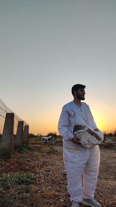 دار ابو محسن