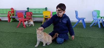 دار السلام لرعاية الأيتام