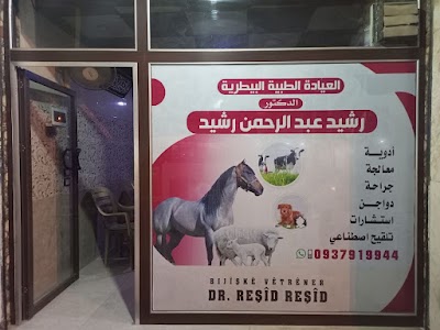 دكتور رشيد رشيد