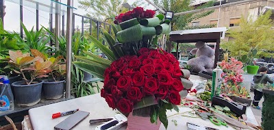 دماس روز