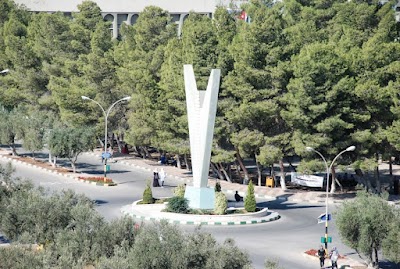 دوار كلية التربية