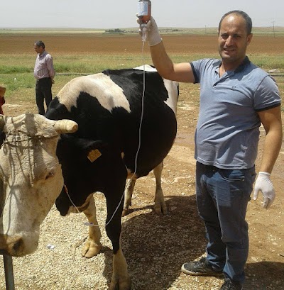 Doğu veteriner klinigi/oğuzeli/gaziantep vet.hek.mehmet bulut