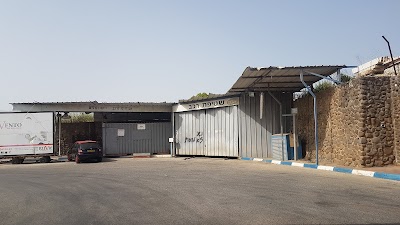 Dor Alon Hatzor HaGlilit