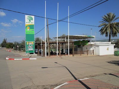Dor Alon Yavneel