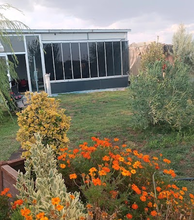 Dört mevsim kafe ve nargile