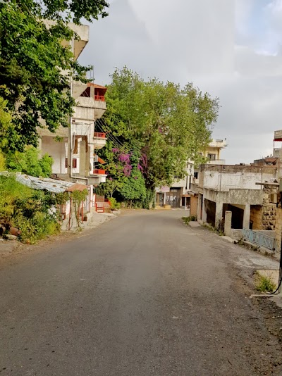 Draykish
