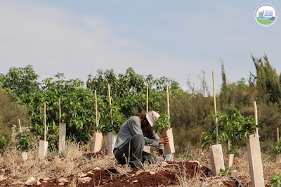 Dror Galil, Ravid