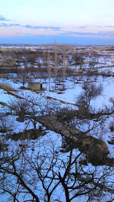 د.سهير
