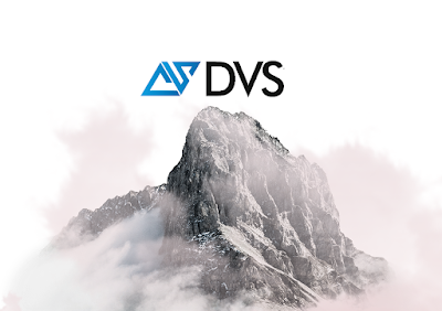 Dvs Bilgisayar, Güvenlik ve Yazılım