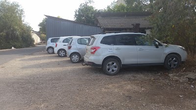 אגוז מערכות מחשוב Egoz Systems