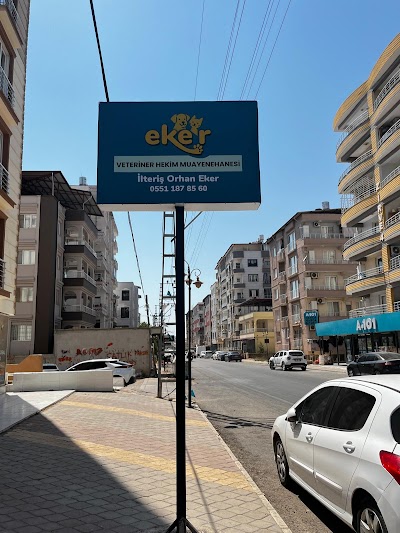 EKER VETERİNER HEKİM MUAYENEHANESİ
