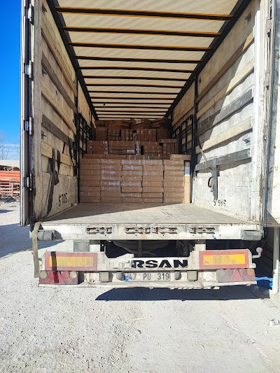 EKİNCİ TRANS