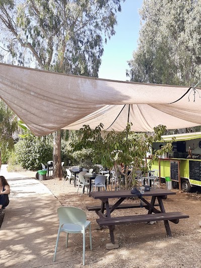 אלקע בר - ELKA BAR