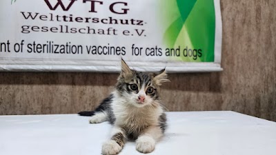 Ernesto Vet Clinic